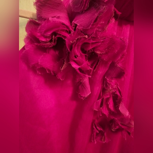 Vintage Fuschia Chiffon Dress by BETTER B. - Picture 3 of 12